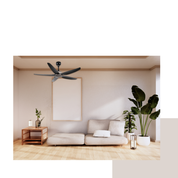 ceiling fan