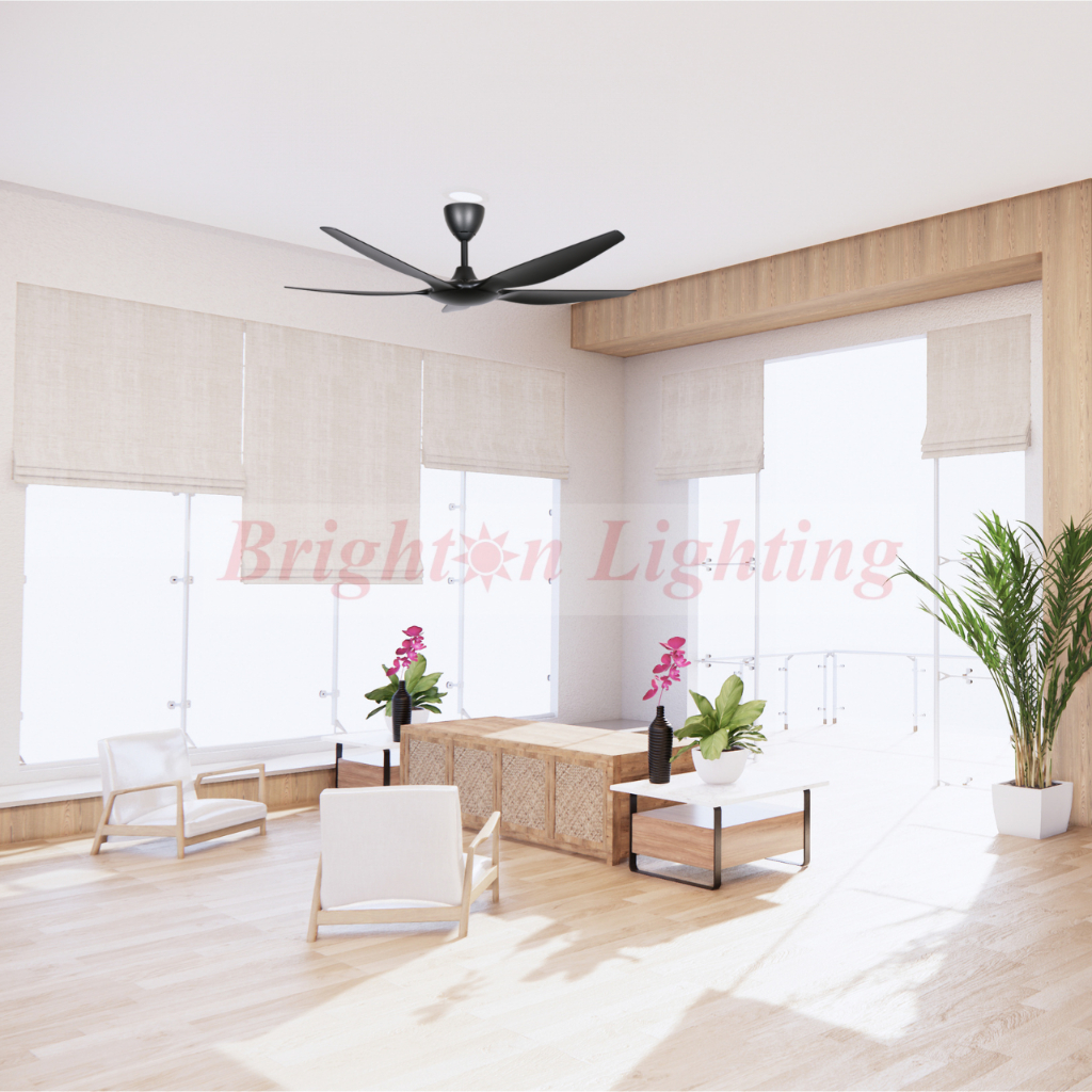 ceiling fan