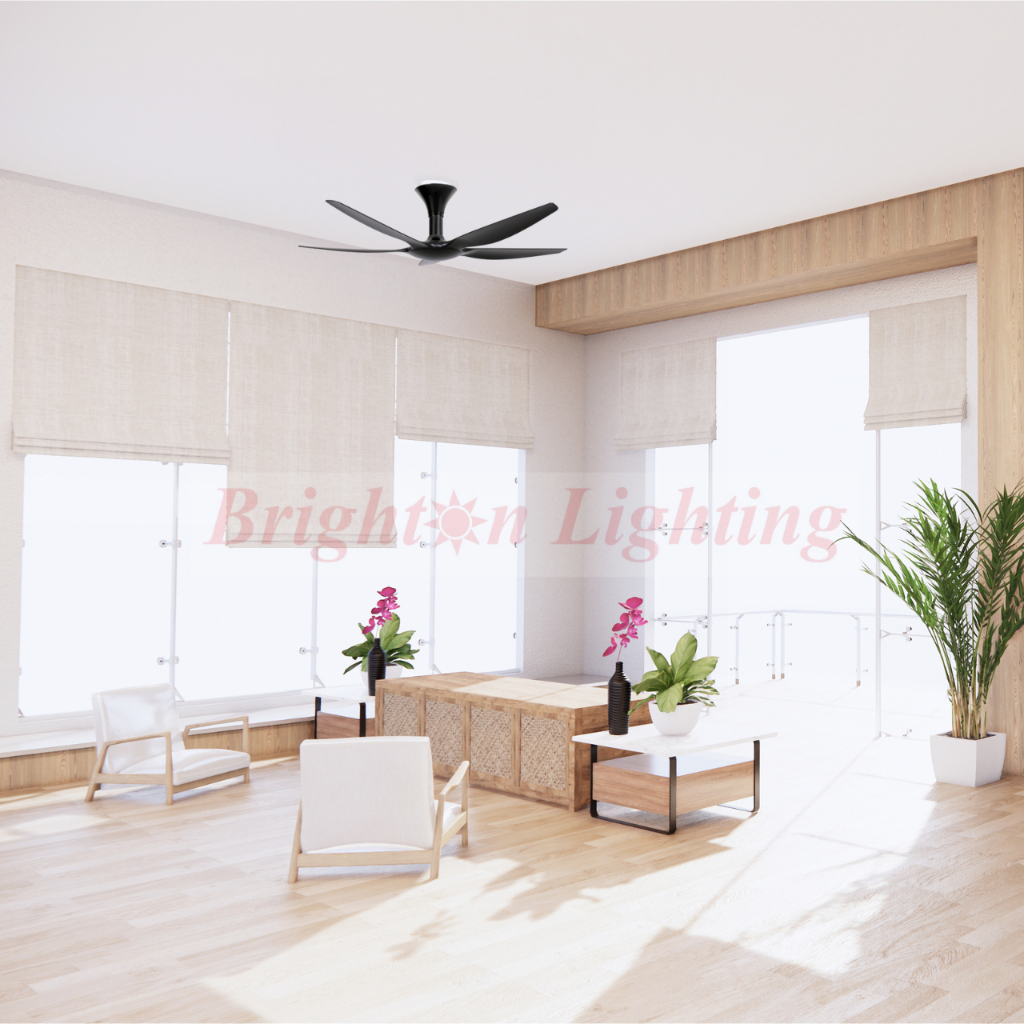 ceiling fan