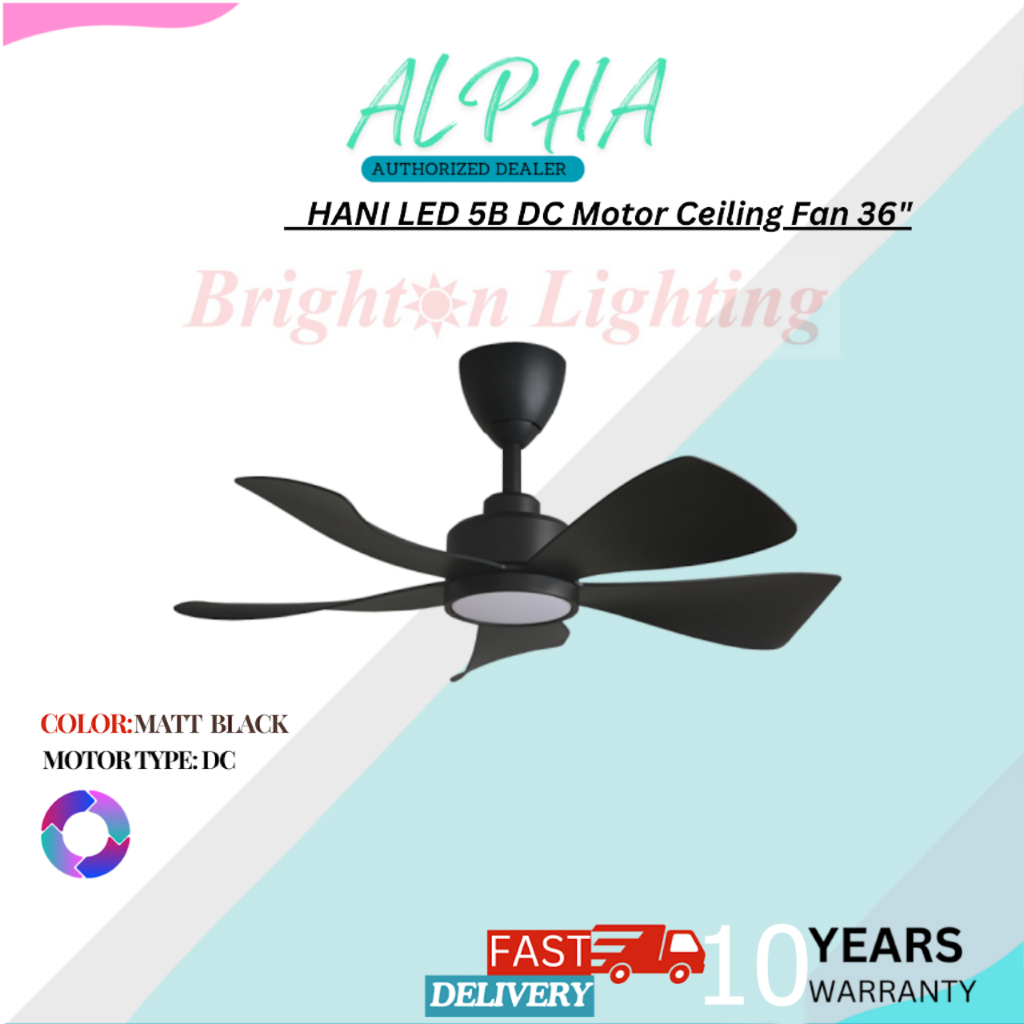 ceiling fan