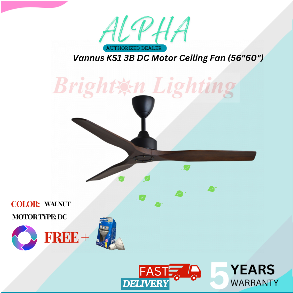 ceiling fan